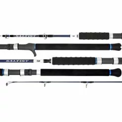 Daiwa 20 Saltist Hyper Rod