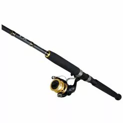 Shimano FX Spin Combo